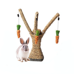 Rabbit Bite, Scratch and Play Carrot Post.
